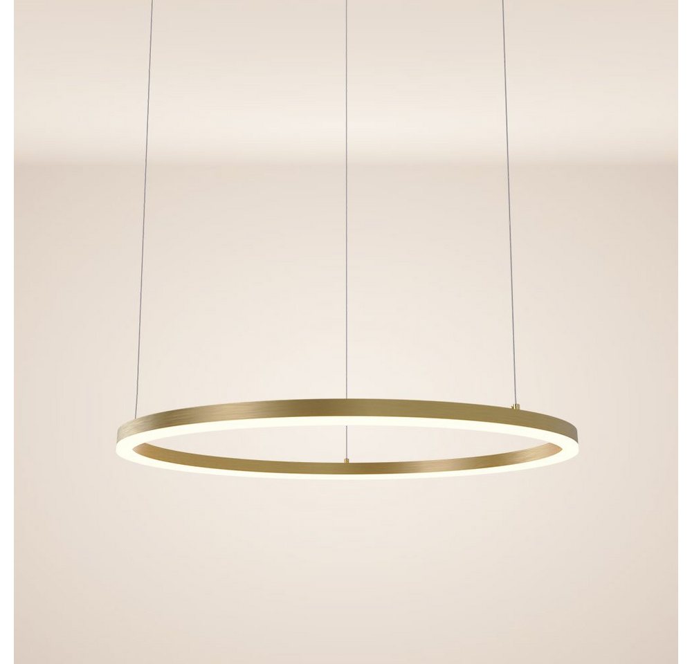 s.luce Pendelleuchte LED Pendelleuchte Ring 80 direkt oder indirekt 5m Abhängung Gold, Warmweiß s.luce Pendelleuchte LED Pendelleuchte Ring 80 direkt oder indirekt 5m Abhängung Gold, Warmweiß von s.luce