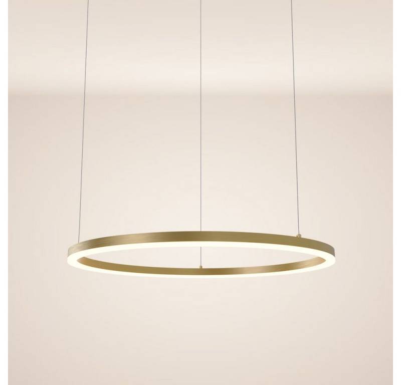 s.luce Pendelleuchte LED Pendelleuchte Ring 80 direkt oder indirekt 5m Abhängung Gold, Warmweiß von s.luce