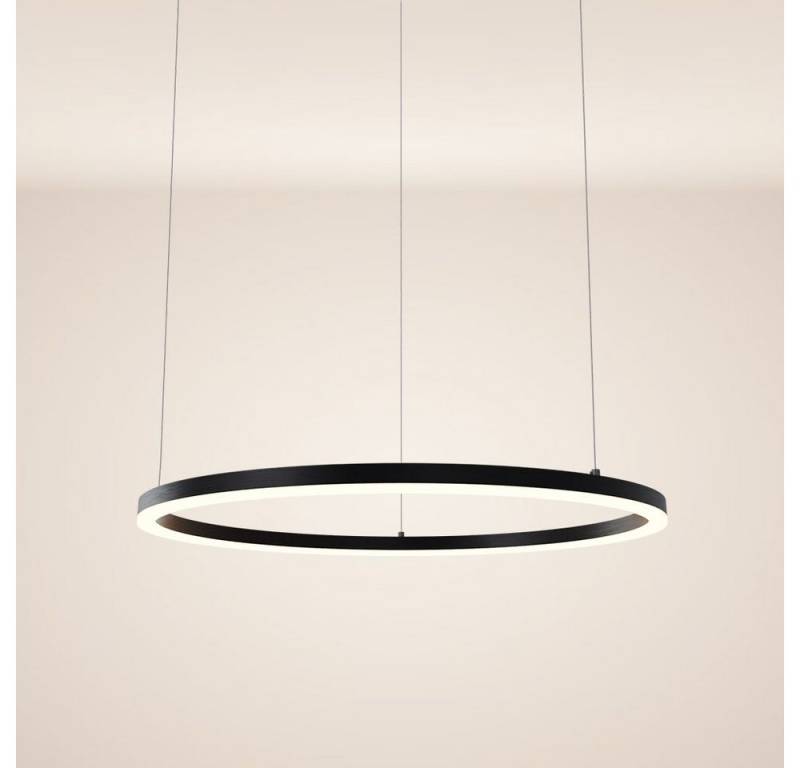s.luce Pendelleuchte LED Pendelleuchte Ring 80 direkt oder indirekt 5m Abhängung Schwarz, Warmweiß von s.luce