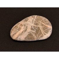 Black Water River Rock - Berne Schweiz Quarz Gestreift Grau Für Aquarium Terrarium Schmuckherstellung Zebrastreifen 34 G von saharagems