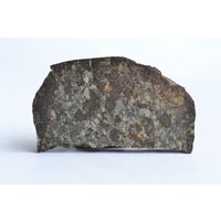 Kendleton Meteorit Scheibe Chondrit L4, Texas 1939, 7, 7G von saharagems