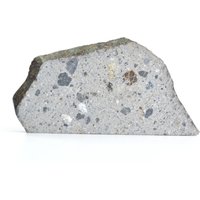 Meteorit Nwa 6067 - Eukrit-Polymikt Gefunden 2009 in Nordwestafrika Mäßiger Schock Geringe Verwitterung Tkw 205 G Teilscheibe 7, 238 von saharagems