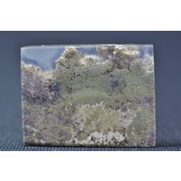 Moss Achat Indonesien Cabochon - Natur Erstaunliches Exemplar Mehrere Farben Spiegelpoliert Alle Seiten Erstaunlich 7, 9 G von saharagems
