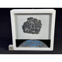 Nwa 11421 - Mond Meteorit Scheibe Feldspat Brekzie Gefunden 2017 in Nw Afrika Absolut Erstaunliche Volle Gewicht 1.982 G von saharagems
