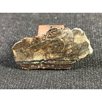 Nwa 6392 Meteorit | Nordwest-Afrika - Brekzien-Diogenit Endschnitt Gefunden 2010 Tkw Nur 503 G 3.093 von saharagems