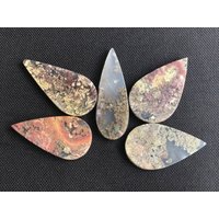 Set Von 5 Moos Landschaftsachat Indonesien Cabochons - Natürlich Erstaunlich Mehrere Farben Spiegelpoliert Alle Seiten Top Qualität 42.7 G von saharagems