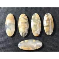 Set Von 5 Moosachat Indonesien Cabochons - Natur Erstaunliche Exemplare Mehrere Farben Spiegelpoliert Alle Seiten Top Qualität 30 G von saharagems