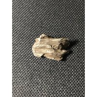 Sikhote Alin Eisen Meteorit - Individuell Fiel 1947 in Sibirien Russland Top Qualität Kleines Individuum Natürlich Erstaunliche Details 5, 9 G von saharagems