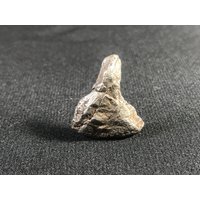 Sikhote Alin Eisen Meteorit - Individuell Fiel 1947 in Sibirien Russland Top Qualität Kleines Individuum Naturbelassen Erstaunliche Details 6, 6 G von saharagems