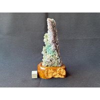 Traubenachat Display Exemplar - Grün & Lila Botryoid Kristall Natürliches Sammler Mineral Aus Indonesien Auf Holzständer Erstaunlich von saharagems