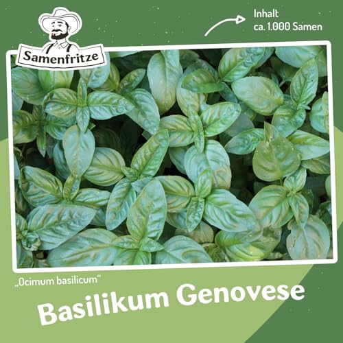 Basilikum Genovese ca. 1000 Samen - Ocimum basilicum, klassische, italienische Sorte von samenfritze