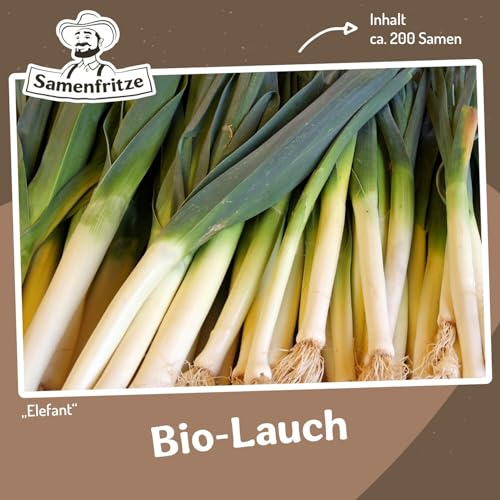 Bio-Lauch Elefant ca. 200 Samen - robuster Porree, dicke Schäfte Bio-Lauch Elefant ca. 200 Samen - robuster Porree, dicke Schäfte von samenfritze