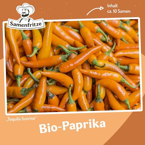 Bio- Paprika Tequila Sunrise ca. 15 Samen - würzig und süß von samenfritze