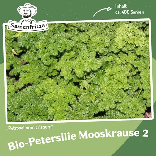 Bio-Petersilie Mooskrause 2 ca. 400 Samen - Petroselinum crispum, intensives Aroma von samenfritze