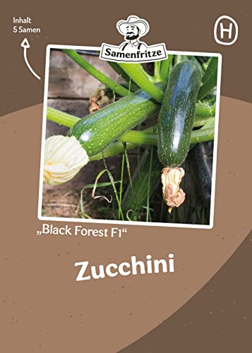 Black Forest F1 Zucchini 5 Samen - ertragreiche Kletterzucchini von samenfritze