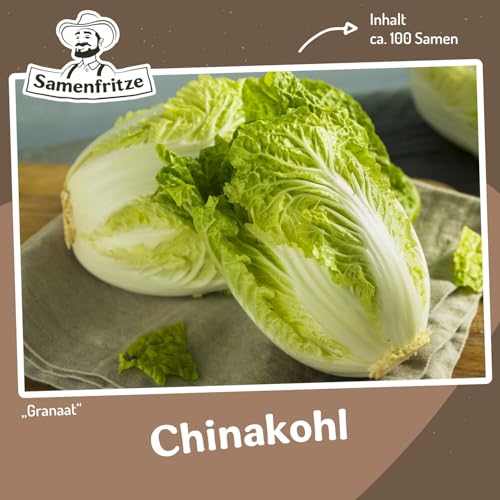 Chinakohl Granaat ca. 100 Samen - dicke, breite Köpfe von samenfritze