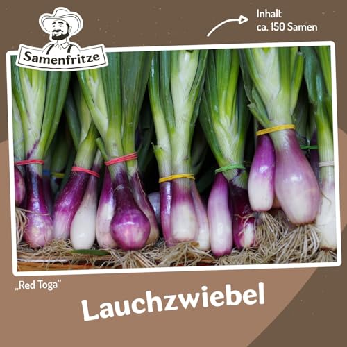 Lauchzwiebel Red Toga ca. 150 Samen - schnellwachsende Sorte mit roter Zwiebel von samenfritze
