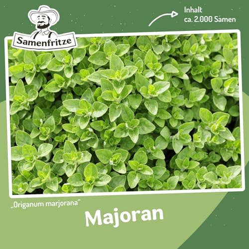 Majoran ca. 2000 Samen - Origanum marjorana, intensives Aroma von samenfritze