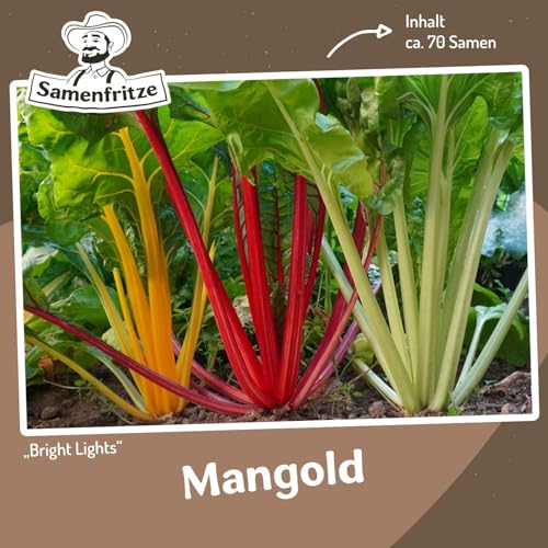Mangold Bright Lights ca. 70 Samen - bunte Mischung von verschiedenen Sorten von samenfritze