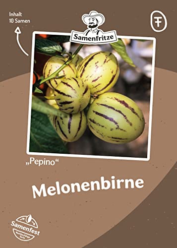 Melonenbirne Pepino 10 Samen außergewöhnlisches Obst von samenfritze