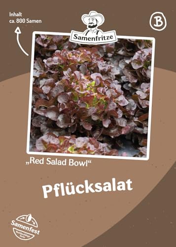 Pflücksalat Red Salad Bowl ca. 800 Samen - schossfester Eichblattsalat von samenfritze