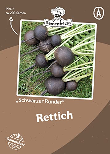 Schwarzer Runder Rettich ca. 200 Samen - schwarzer Rettich mit weißem Fruchtfleisch von samenfritze