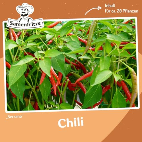 Chili Serrano Samen für ca. 20 Pflanzen - beliebte Sorte in Mexiko von samenfritze