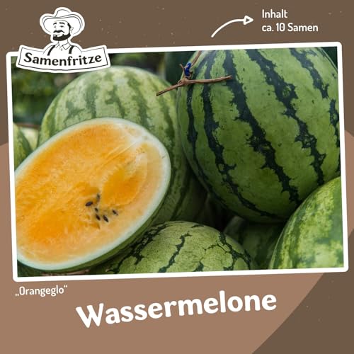 Wassermelone Orangeglo ca. 10 Samen - Wassermelone mit orangefarbenem Fruchtfleisch von samenfritze