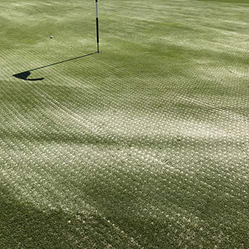 25 kg Spezial Rasensand Rasen 0,1-0,3 mm (H1) Sand Grassand Gras Rasenpflege Spezialsand Quarzsand Düngehilfsstoff zur Bodenverbesserung von Samore