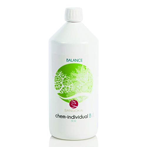 sangokai Chem-Individual B Borlšsung 1000ml von sangokai