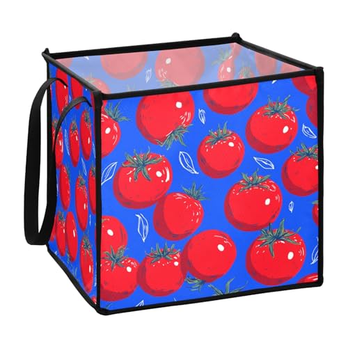 sanluoli Aufbewahrungskorb für Garage, große Speisekammerkörbe, Retro-Stil, Rot, Tomatenblau, 33 x 33 x 33 cm sanluoli Aufbewahrungskorb für Garage, große Speisekammerkörbe, Retro-Stil, Rot, Tomatenblau, 33 x 33 x 33 cm von sanluoli