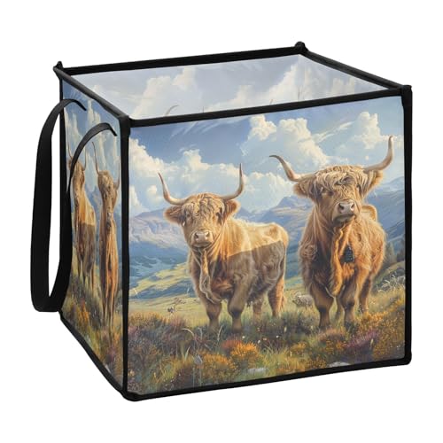 sanluoli Highland Cattle Wild Cartoon Stoffwürfel Aufbewahrungskörbe für Bettwäsche, zusammenklappbar, dekorativ, faltbar, 33 x 33 x 33 cm sanluoli Highland Cattle Wild Cartoon Stoffwürfel Aufbewahrungskörbe für Bettwäsche, zusammenklappbar, dekorativ, faltbar, 33 x 33 x 33 cm von sanluoli