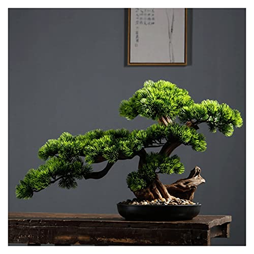 sararui Kunstpflanze Künstliche Bonsai-Kiefer von 17 Zoll, realistische gefälschte Pflanzendekoration, Topfkünstliche Hausanlagen, für Desktop-Display, Zen Garden Dekor Künstlicher Bonsai sararui Kunstpflanze Künstliche Bonsai-Kiefer von 17 Zoll, realistische gefälschte Pflanzendekoration, Topfkünstliche Hausanlagen, für Desktop-Display, Zen Garden Dekor Künstlicher Bonsai von sararui