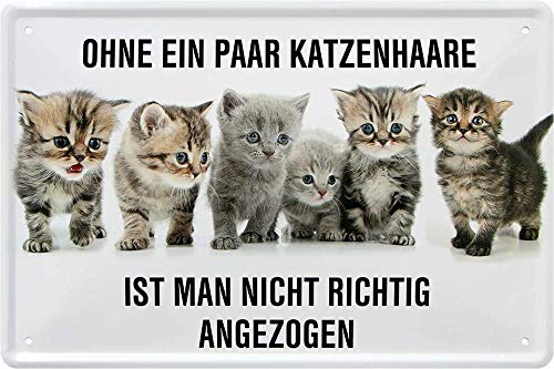 Blechschild Lustiger Spruch & Motiv “Ohne EIN Paar Katzenhaare ist .“ Deko Katze Humor Katzenschild Türschild Metallschild Schild Witziges Geschenk zum Geburtstag oder Weihnachten 20x30 cm von schilderkreis24