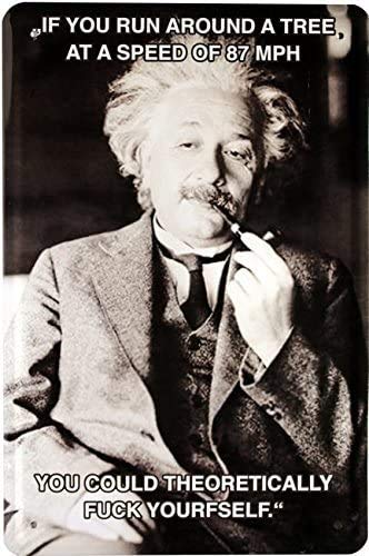 Blechschilder Lustiger Albert Einstein Spruch “If You Run Around a Tree, at a Speed of 87 MPH .” Deko Metallschild Humor Schild Witziges Geschenk zum Geburtstag oder Weihnachten 20x30 cm von schilderkreis24