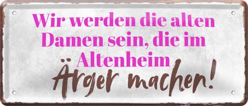 schilderkreis24 – Blechschild Lustiger Spruch “Wir Werden die Alten Damen Sein.“ Pension Geschenkidee Geschenk Großeltern Rentner Senioren Oma Opa Enkelkinder 28x12 cm von schilderkreis24
