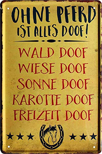 schilderkreis24 - Blechschilder Lustiger Spruch “Ohne Pferd ist Alles Doof!“ Deko Pferd Hauseingang Reiten Schild Geschenkidee für alle Pferdebesitzer oder Pferde Fans 20x30 cm von schilderkreis24