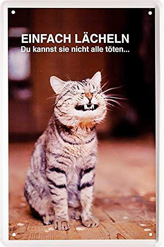 schilderkreis24 - Blechschilder Lustiger Spruch & Motiv “Einfach lächeln, du Kannst töten“ Deko Katze Katzenschild Türschild Metallschild Schild Geschenkidee 20x30 cm von schilderkreis24