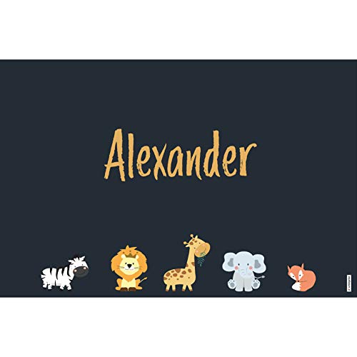 schildgetier Alexander Türschild Namensschild Alexander Geschenk mit Namen und süßen Tier Motiven 30 x 20 cm Dekoschild Schild mit Tieren von schildgetier