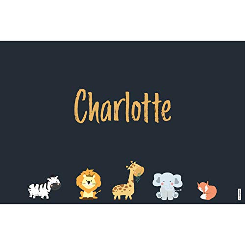 schildgetier Charlotte Türschild Namensschild Charlotte Geschenk mit Namen und süßen Tier Motiven 30 x 20 cm Dekoschild Schild mit Tieren von schildgetier