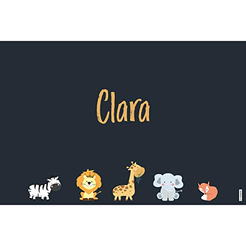 schildgetier Clara Türschild Namensschild Clara Geschenk mit Namen und süßen Tier Motiven 30 x 20 cm Dekoschild Schild mit Tieren von schildgetier