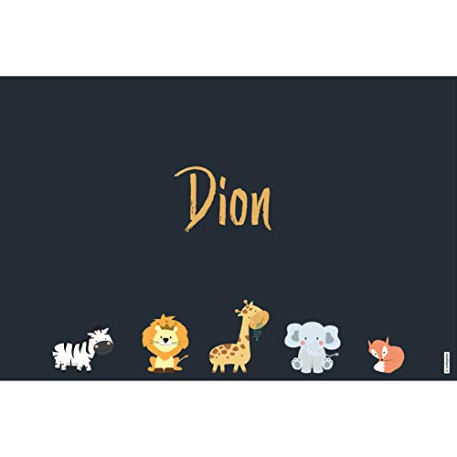 schildgetier Dion Türschild Namensschild Dion Geschenk mit Namen und süßen Tier Motiven 30 x 20 cm Dekoschild Schild mit Tieren von schildgetier