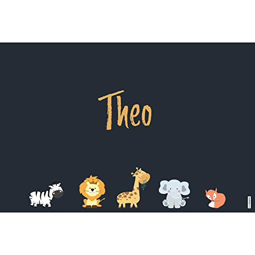 schildgetier Theo Türschild Namensschild Theo Geschenk mit Namen und süßen Tier Motiven 30 x 20 cm Dekoschild Schild mit Tieren von schildgetier