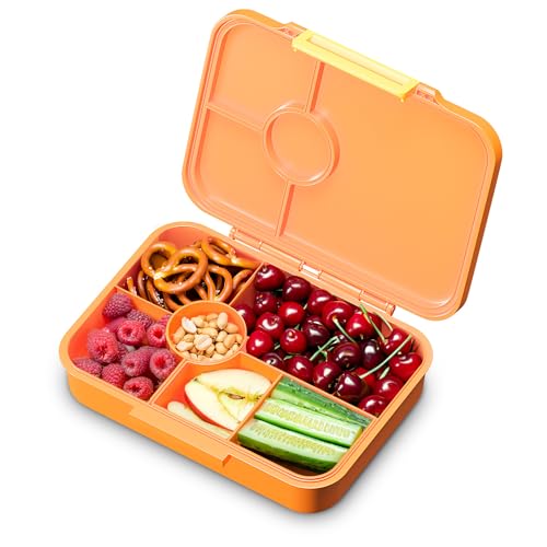 schmatzfatz Lunchbox, Unterteilte Brotdose Kinder, Lunchbox mit Fächern, Bunte Bento-Box für Schule & Kita, BPA-Freie Schuldose für Mädchen & Jungen, Jausenbox Spülmaschinenfest & Auslaufsicher von schmatzfatz