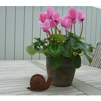 Gartendeko Schnecke Franz 10 cm Zum Stellen | Edelrost von schongesehen