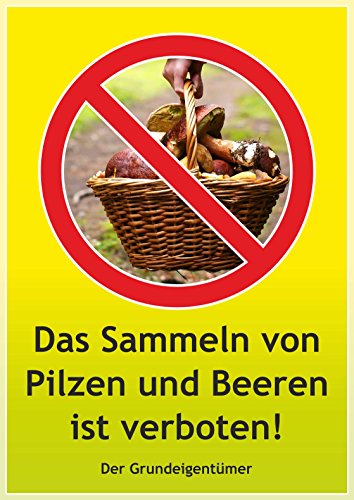 Das Sammeln von Pilzen und Beeren ist verboten ! Hinweisschild (A4) von schrall