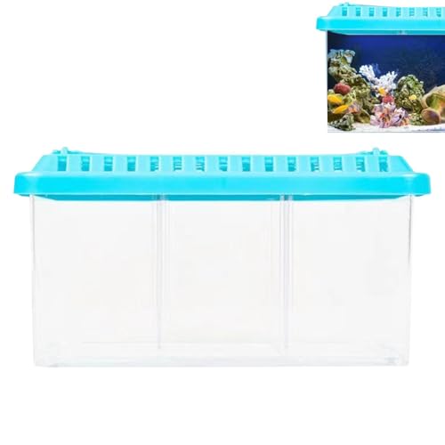 scyca Aquarium für Betta, für den Schreibtisch, transparenter Behälter für Aquarien mit herausnehmbaren Trennwänden, Zierfischglas mit mehreren Fächern, Starter-Set von scyca