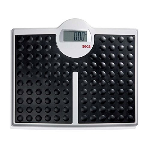 Seca 813 Robusta High Load-Bearing Capacity Electronic Flat Scale by Seca von seca