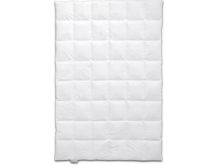 B-Ware Böhmerwald Daunendecke Bettdecke Federdecke 155 × 220 Cm Ganzjahresdecke Decke B-Ware von second-circle
