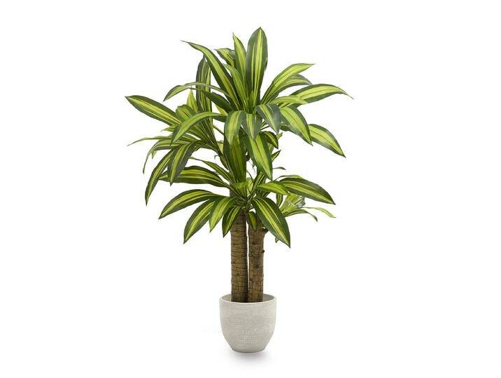 B-Ware Maia Shop 120 Cm Kunstbaum Zimmerpflanze Dracaena Baum Künstlicher Dekobaum B-Ware B-Ware Maia Shop 120 Cm Kunstbaum Zimmerpflanze Dracaena Baum Künstlicher Dekobaum B-Ware von second-circle